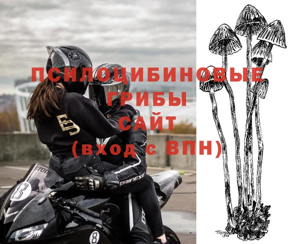 COCAINE Няндома